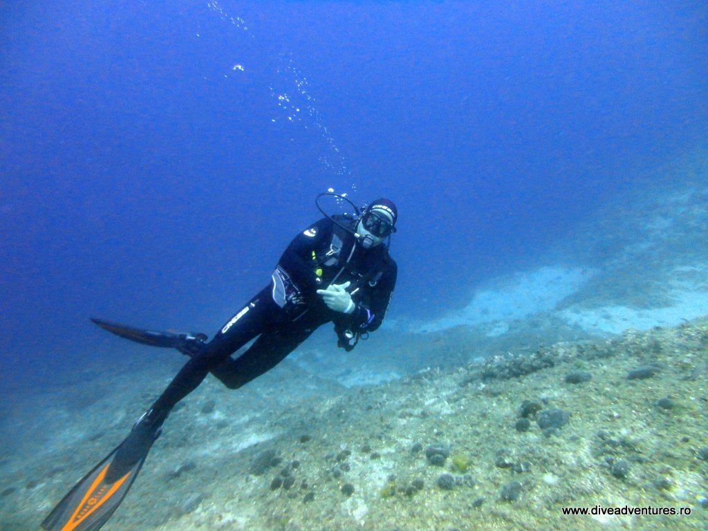 Master Diver Dive Adventures