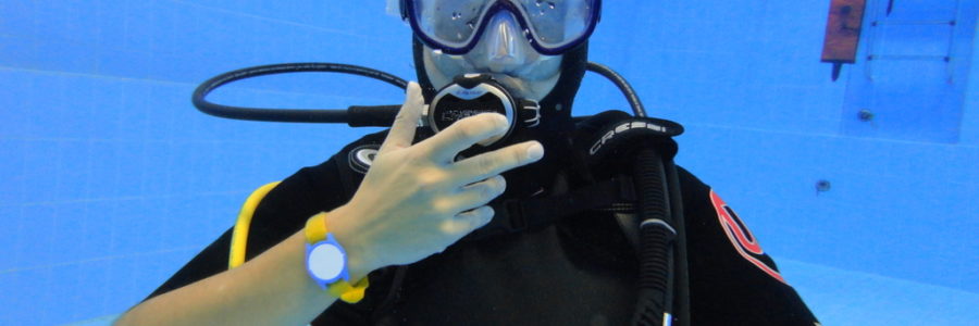 Open Water Diver ( OWD )