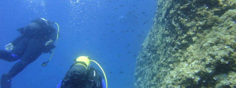 Advanced Open Water Diver ( AOWD )