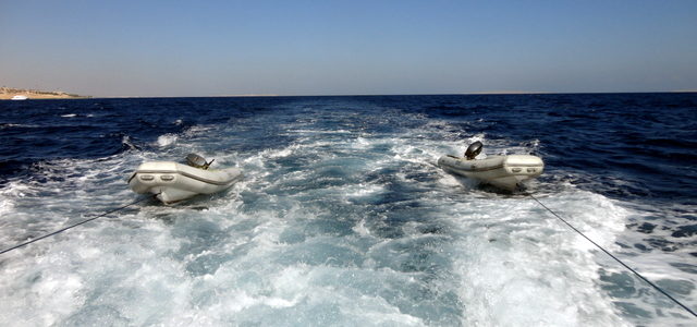 Egyiptom északi szafari 2017